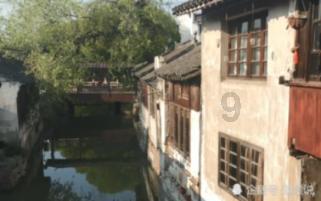 学习插花艺术